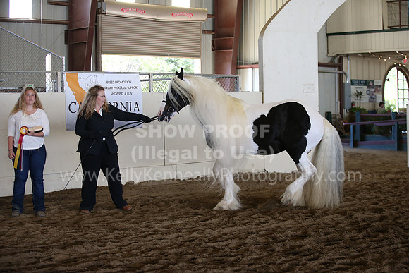 MLMH_2018_1586