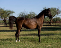 AgracedRS18_4585