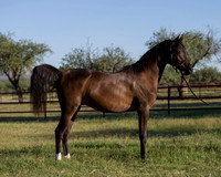 AgracedRS18_4586