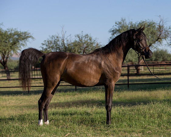 AgracedRS18_4588
