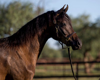 AgracedRS18_4591