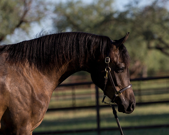 AgracedRS18_4608