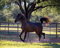 AgracedRS18_4627