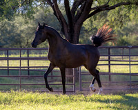 AgracedRS18_4628