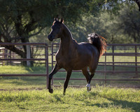 AgracedRS18_4629