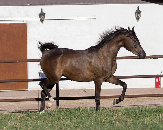 AgracedRS18_4644