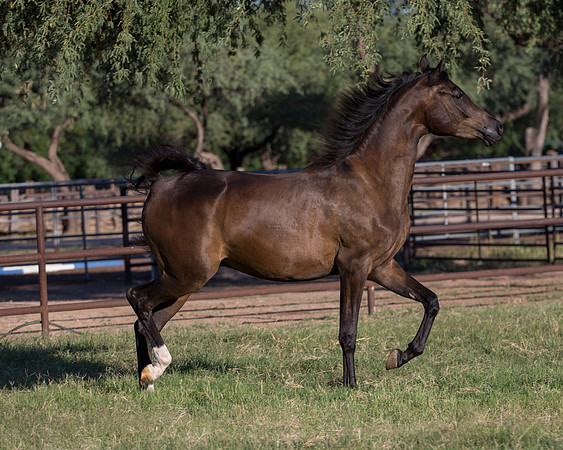 AgracedRS18_4652