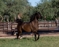 AgracedRS18_4689