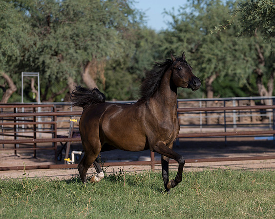 AgracedRS18_4689