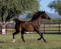 AgracedRS18_4693
