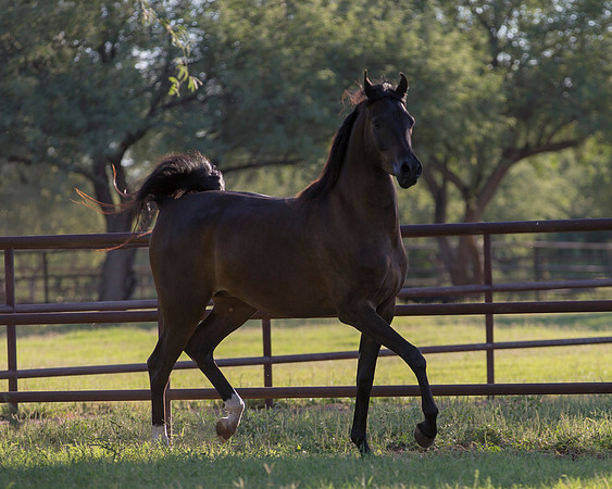AgracedRS18_4710