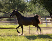 AgracedRS18_4702
