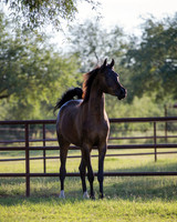 AgracedRS18_4716