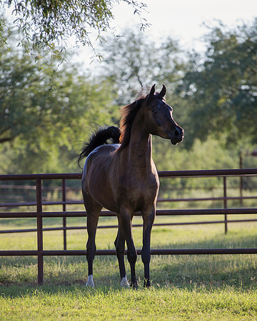 AgracedRS18_4716