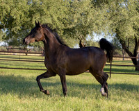 AgracedRS18_4740