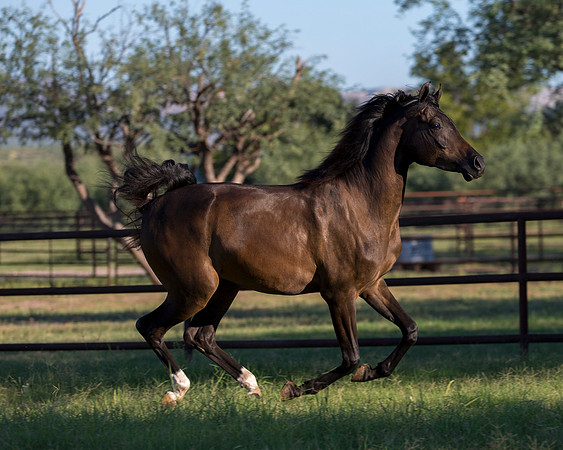 AgracedRS18_4775