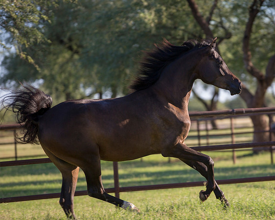 AgracedRS18_4776