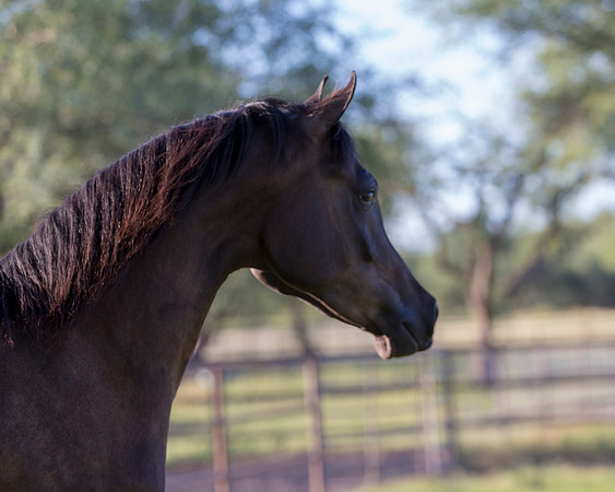 AgracedRS18_4808