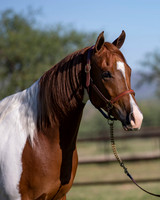 TexasTwoStepRS18_5291