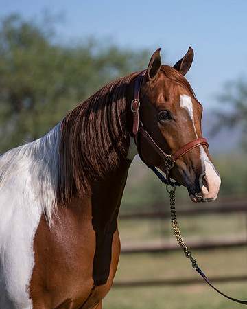 TexasTwoStepRS18_5291