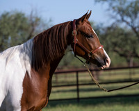 TexasTwoStepRS18_5294