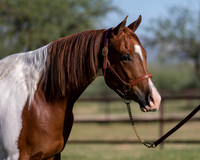 TexasTwoStepRS18_5286