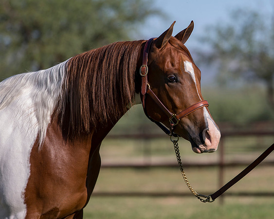 TexasTwoStepRS18_5286