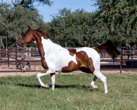 TexasTwoStepRS18_5301
