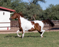 TexasTwoStepRS18_5302