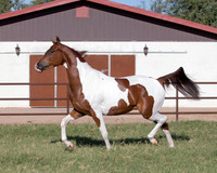 TexasTwoStepRS18_5303