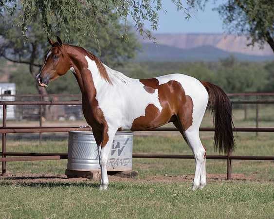 TexasTwoStepRS18_5321
