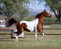 TexasTwoStepRS18_5346