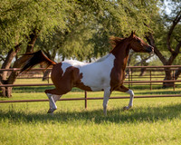 TexasTwoStepRS18_5355