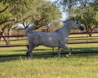 KaytieBartheDoorRS18_5504
