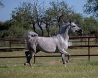 KaytieBartheDoorRS18_5547