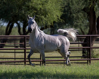 KaytieBartheDoorRS18_5561