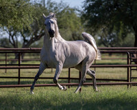 KaytieBartheDoorRS18_5564