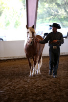 MLMH_2018_1596