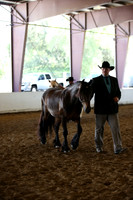 MLMH_2018_1595