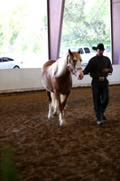 MLMH_2018_1597