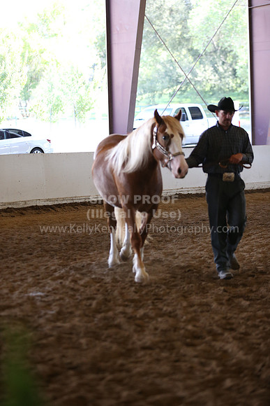 MLMH_2018_1597