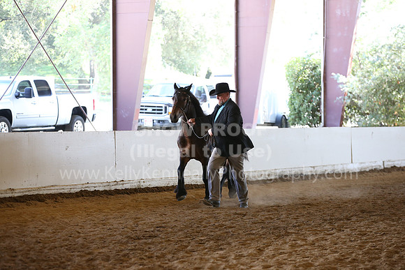 MLMH_2018_1606