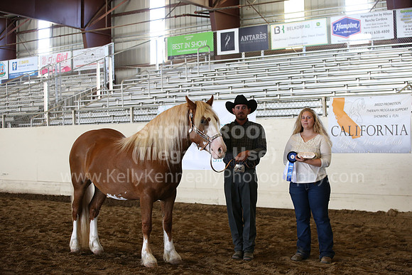 MLMH_2018_1630