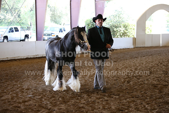 MLMH_2018_1695