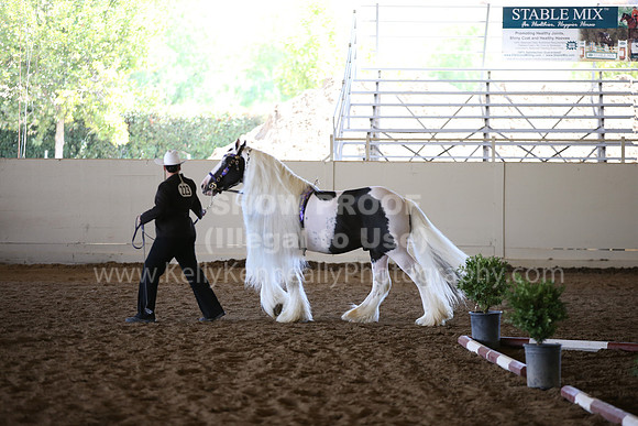 MLMH_2018_1735