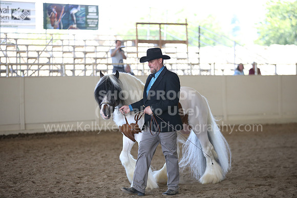 MLMH_2018_1772