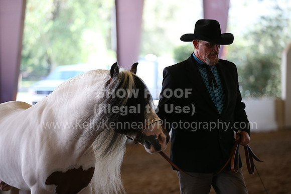 MLMH_2018_1785