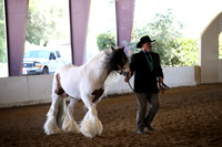 MLMH_2018_1806