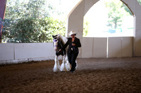 MLMH_2018_1810