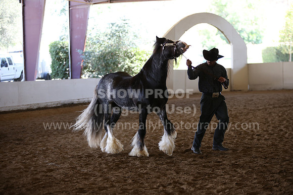 MLMH_2018_1818